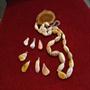 Agaat   ook grote geodes. Hangers E.4.- ketting 30.- Plakken 2.- en 7.- best.nr DSCF3524