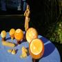 calciet Oranje. Het Maria Magdalena kristal, sinds 1994 !  E.3.-handsteen grof. Hanger 4.- Bollen E.25.- tot en met 65.-de beste kwaliteit. geen geverfde! best.nr DSC0 4116